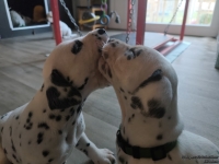 IMG_20250201_152539_web