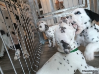 IMG_20250201_152547_web