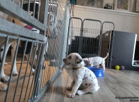 IMG_20250201_152919_web