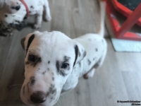 IMG_20250201_153010_web