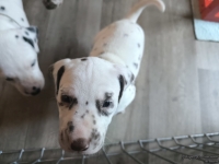 IMG_20250201_153011_web