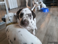 IMG_20250201_153127_web