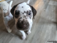 IMG_20250201_153128_web