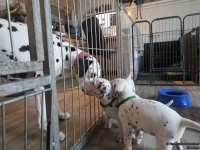 IMG_20250201_153134_web