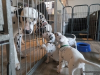 IMG_20250201_153136_web