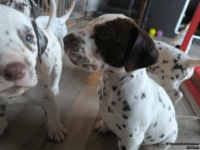 IMG_20250201_153145_web