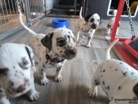 IMG_20250201_153149_1_web