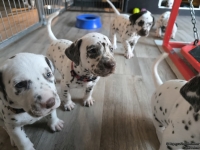 IMG_20250201_153150_web