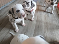 IMG_20250201_153151_web