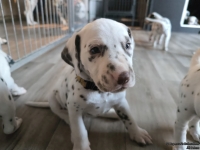 IMG_20250201_153202_1_web