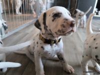 IMG_20250201_153202_web