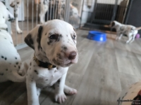 IMG_20250201_153204_web