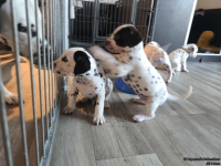 IMG_20250201_153300_web