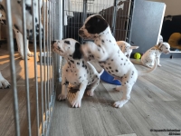 IMG_20250201_153302_web