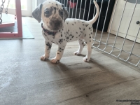 IMG_20250201_153310_web