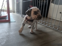 IMG_20250201_153311_web