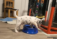 IMG_20250202_213018_web