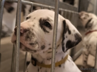 IMG_20250203_075914_web