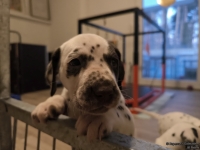 IMG_20250203_080007_web