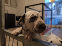 IMG_20250203_080008_web