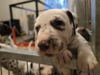 IMG_20250203_080012_web