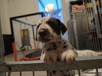 IMG_20250203_080017_web