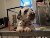 IMG_20250203_080018_web