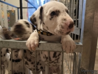 IMG_20250203_080024_web