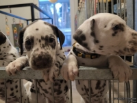 IMG_20250203_080025_web