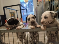 IMG_20250203_080035_web