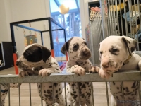 IMG_20250203_080037_web