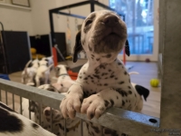 IMG_20250203_080136_web