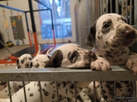 IMG_20250203_080146_web