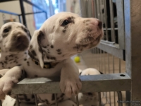 IMG_20250203_080211_web