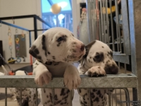 IMG_20250203_080302_web