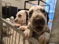 IMG_20250203_080316_web