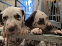 IMG_20250203_080323_web