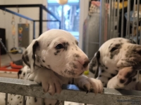 IMG_20250203_080327_web