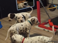 IMG_20250203_080406_web