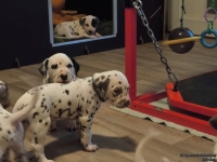 IMG_20250203_080411_web