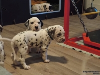 IMG_20250203_080413_web