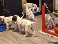 IMG_20250203_080457_web