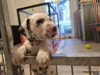 IMG_20250203_080646_web