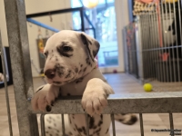 IMG_20250203_080650_web