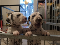 IMG_20250203_080747_web