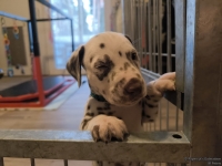 IMG_20250203_081917_web