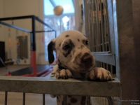 IMG_20250203_081922_web