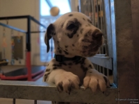 IMG_20250203_081923_web