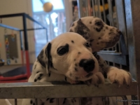 IMG_20250203_081930_web