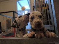 IMG_20250203_081931_web